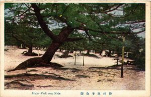 CPA AK Maiko Park near Kobe JAPAN (725827)