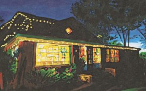 Moby Dickens Bookshop Taos New Mexico Bookstore Shop Painting Postcard