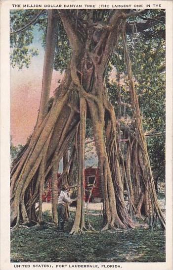 Florida Fort Lauderdale The Million Dollar Banyan Tree