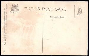 Tucks Leatherette Valentine unused c1910