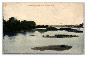 Scene on Saginaw River Saginaw Michigan MI 1909 DB Postcard R22