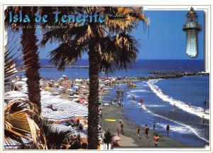 B33273 Tenerife Playa de Las Americas   spain