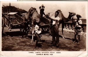 PC ADEN CAMEL CARTS STEAMER POINT REAL PHOTO YEMEN (a31449)