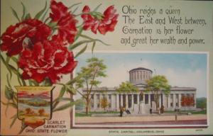 OHIO STATE FLOWER \Scarlet Carnation\ c1910 PC
