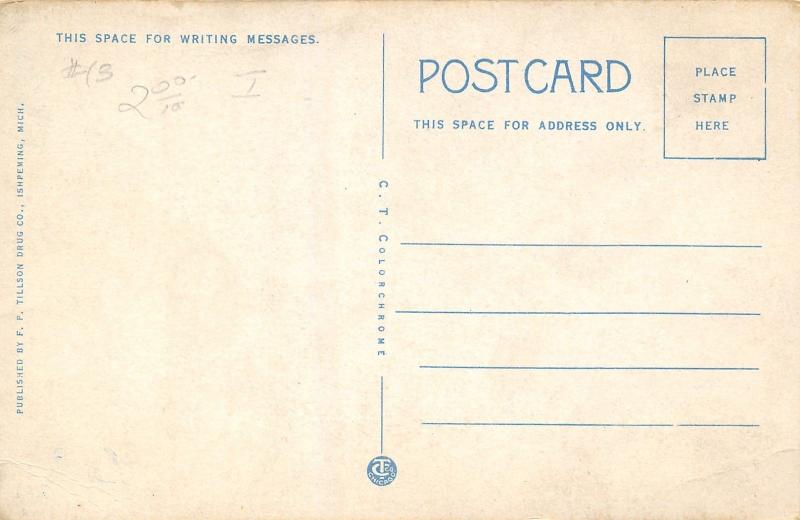 Ishpeming Michigan~Dead River Storage Dam~Cleveland Cliffs Iron Co~1920s PC 