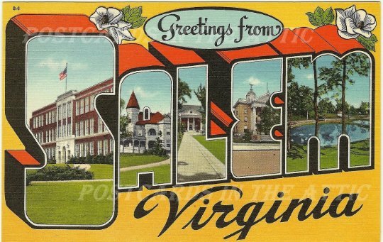 Old Postcard, Salem Virginia Large Letter State Souvenir with Magnolia Blossoms