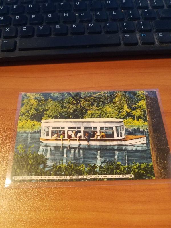 Antique/Vintage Florida Postcard, Jungle Cruise, Tropical Silver Springs, Fla.