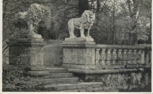 Austria Matzen castle park detail lions statuettes photo postcard