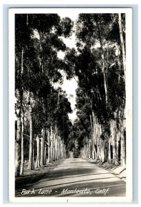 Vintage RPPC Real Photo Park Lande Montecito Calif. Postcard P165E