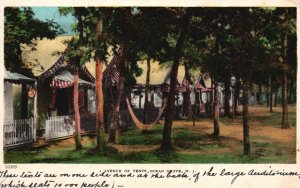 Vintage Postcard 1908 Avenue Of Tents Along Pine Trees Ocean Grove New Jersey NJ