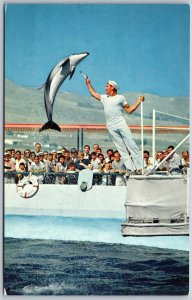 Vtg Los Angels California CA Marineland Of The Pacific Jumping Porpoise Postcard