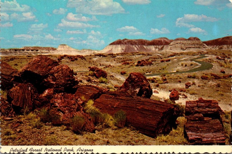 Arizona Petrified Forest National Park Long Logs