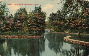 Postcard Elm Park Worcester Massachusetts