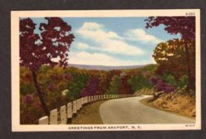 NY Greetings from ARKPORT NEW YORK Postcard Linen PC