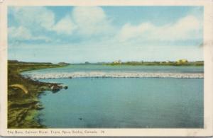 The Bore Salmon River Truro Nova Scotia NS Unused Postcard D75