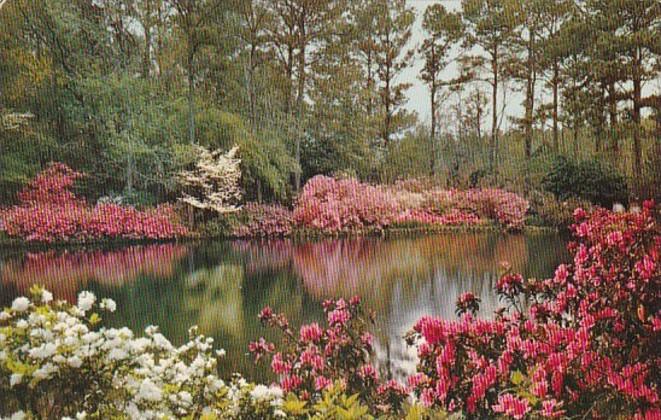 Alabama Mobile Bellingrath Gardens Mirror Lake 1957