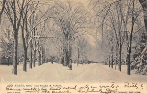 The Walks In Winter - Ann Arbor, Michigan MI