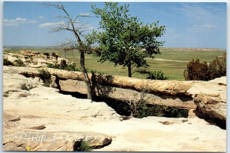 Postcard - Agate Bridge, Petrified Forest National Park - Arizona