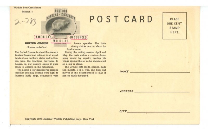 Birds - Ruffed Grouse