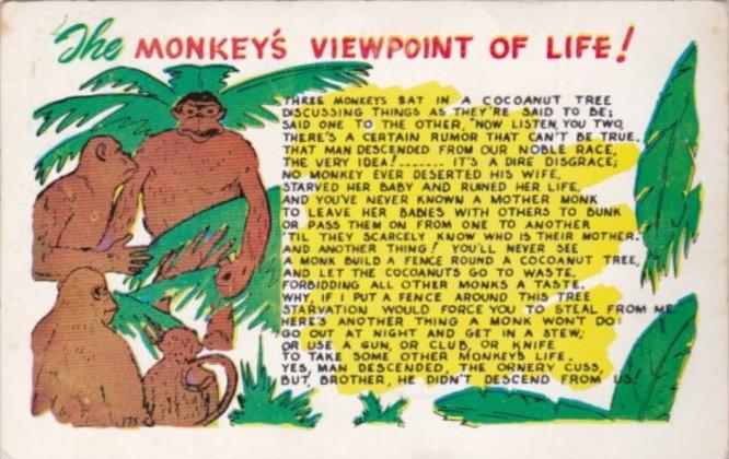 Humour The Monkey's Viewpoint Of Life 1954