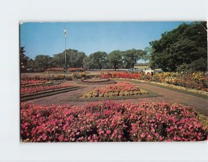 Postcard Flower Gardens, Humboldt Park, Buffalo, New York