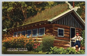 Blue Mounds Wisconsin~Man @ Little Norway House~Living Roof~1940s Linen Postcard