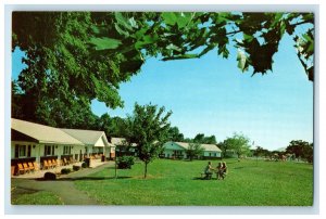 c1950 Wolff's Maple Breeze Cauterskill Rd. Catskill New York NY Postcard