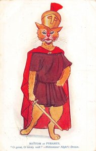Animals Anthropomorphic Orange Cat Bottom as Pyranus Roman Soldier postcard B921