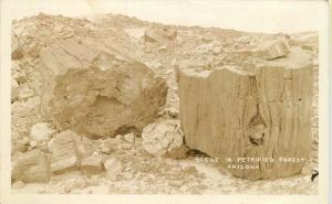 1920s Scene Petrified Forest Arizona RPPC real photo postcard 9478