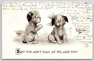 1910's Say You Ain't Mad At Me Are You? Dogs Comic Male & Female Posted Postcard
