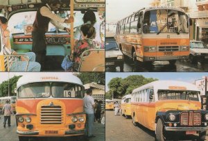 Malta Bus Conductor Driver Postcard