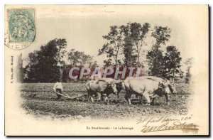 Old Postcard Folklore Bourbonnais Plowing