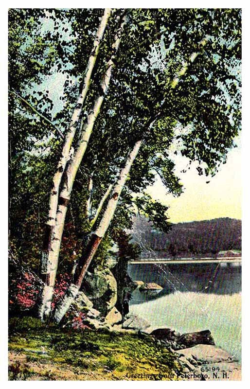 Postcard WATER SCENE State of New Hampshire NH AR9468