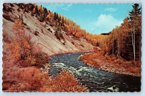 Ontario Canada Postcard Jackpine Creek Seen Along Highway 17 c1960's Vintage