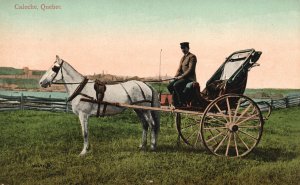 Vintage Postcard Horse Carriage Ancient Transportation Caleche Quebec Canada