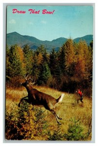Vintage 1960's Postcard Bow Hunter Deer Hunting in Lotbiniere Quebec Canada