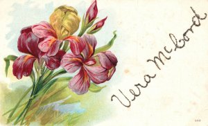 Vintage Postcard Greeting Invitation Card To Lea McBand Iowa Nice Flower Design