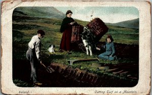 c1910 IRELAND CUTTING TURF ON A MOUNTAIN DOG CHILDREN EARLY POSTCARD 34-299