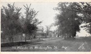 Illinois Il Postcard 1908 JOY The Walnuts on Washington Street Homes