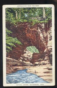 WAYNESBORO TENNESSEE NATURAL BRIDGE VINTAGE POSTCARD