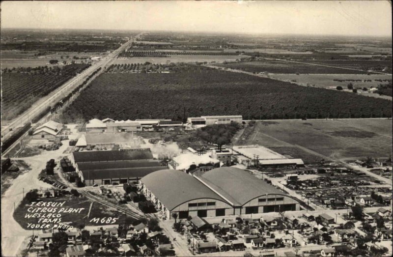 Texsun Citrus Plant Weslaco TX Yoder c1950 Real Photo Postcard