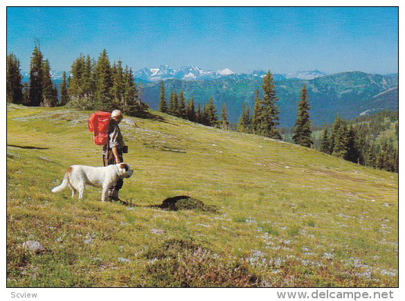 Man & Dog hiking , B.C. , Canada , 50-70s