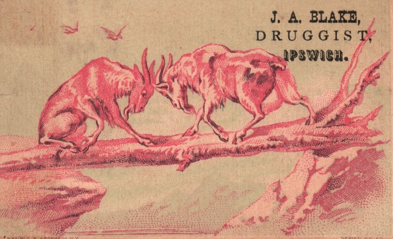 1880s-90s Rams on a Fallen Tree JA Blake Druggist Ipswich MA Trade Card