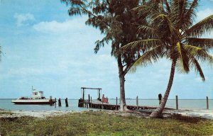 Automobile Ferry Punta Rassa Fort Myers Sanibel Florida 1962 Vintage Postcard