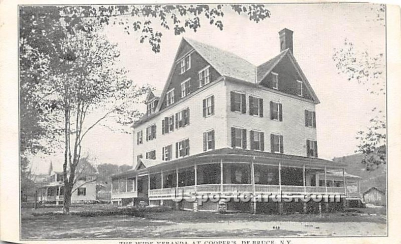 The Wide Veranda at Cooper's - De Bruce, New York