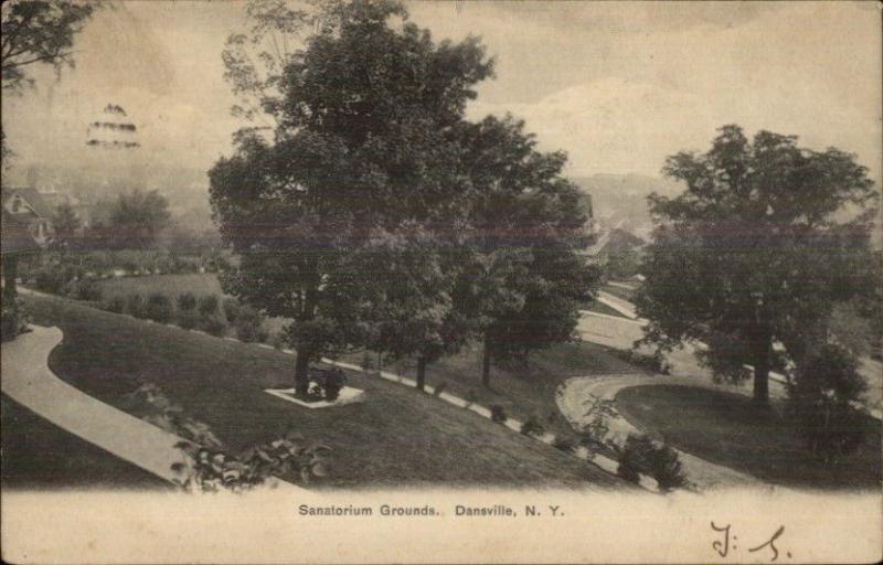 Dansville NY Sanatorium Grounds c1905 Postcard