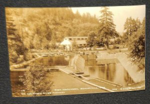 RPPC FISH HATCHERY COLUMBIA RIVER HWY BONNEVILLE OREGON REAL PHOTO POSTCARD 30s