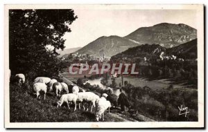 Old Postcard Lourdes La Vallee and the Pic du Jer Sheep