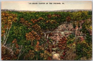 The Poconos Pennsylvania PA, Grand Canyon of Poconos, Nature, Vintage Postcard