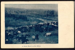 Canada Alberta A Horse Ranch on the Elbow ~ Und/B